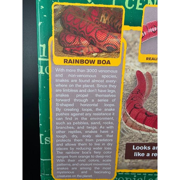 Terra by Battat RC Rainbow Boa Snake Infrared Remote Control Toy 6+ - Picture 5 of 6